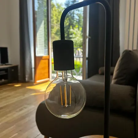 Le Floraline-au Coeur D'aix Les Bains - 3 Appartement Aix-les-Bains