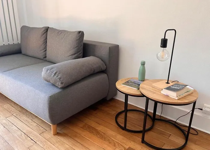 Le Floraline-au Coeur D'aix Les Bains - 3 * エクスレバン